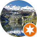 Felix profile picture