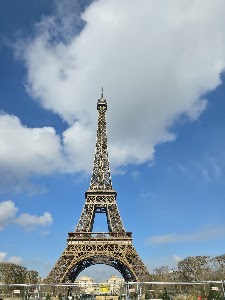 Eiffel Tower place picture